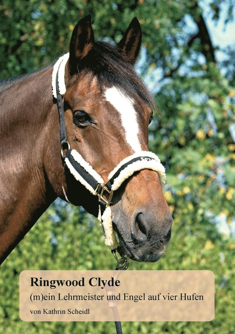 Ringwood Clyde 1
