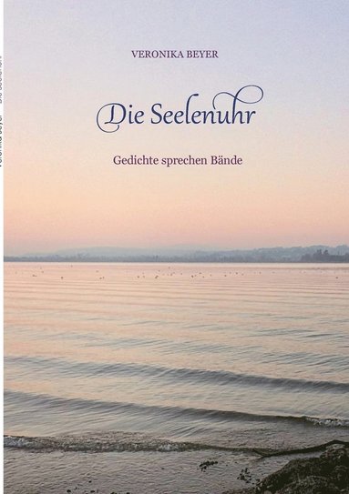 bokomslag Seelenuhr
