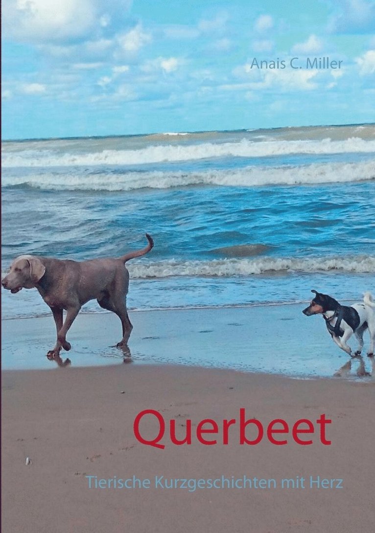 Querbeet 1