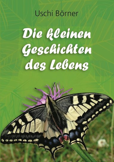 bokomslag kleinen Geschichten des Lebens
