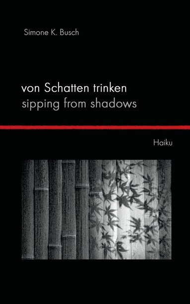 bokomslag Von Schatten trinken - Sipping from Shadows