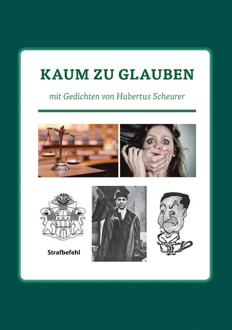 Hubertus Scheurer - Kaum zu glauben, Häftad