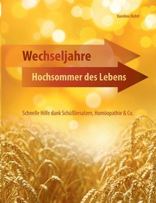 bokomslag Wechseljahre - Hochsommer des Lebens