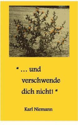 bokomslag "... und verschwende dich nicht!"