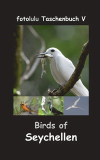 bokomslag Birds of Seychellen