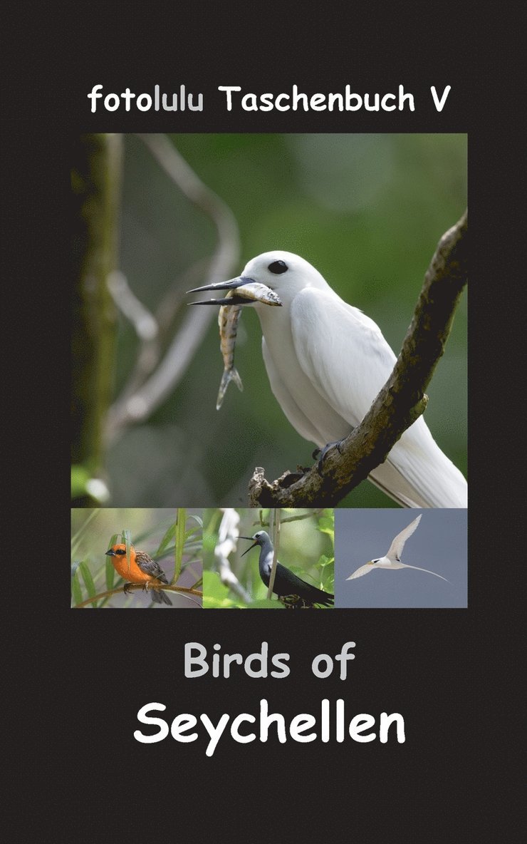 Birds of Seychellen 1