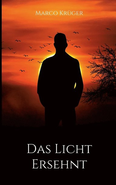 Marco Krüger - Licht ersehnt, Häftad
