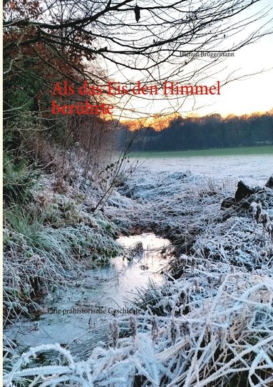 bokomslag Als das Eis den Himmel berhrte