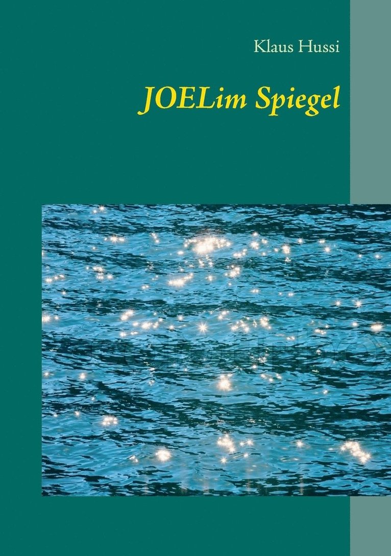 Joel im Spiegel 1