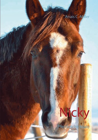bokomslag Nicky