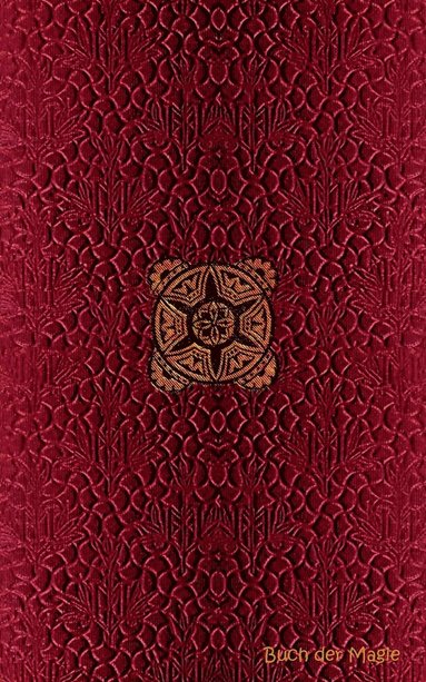 bokomslag Buch der Magie (Notizbuch)