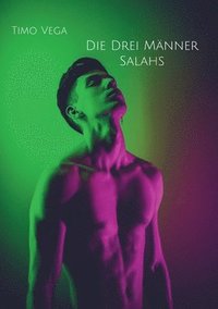 bokomslag Drei Männer Salahs