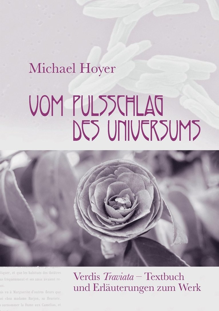Michael Hoyer - Vom Pulsschlag des Universums, Häftad