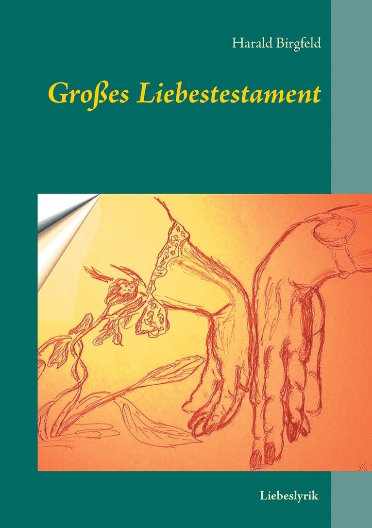 Harald Birgfeld - Großes Liebestestament, Häftad