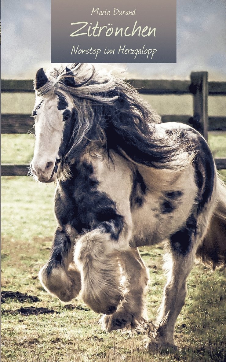 Maria Durand - Zitrönchen, Häftad