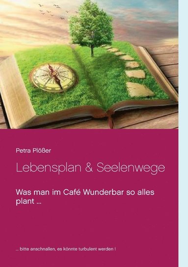 bokomslag Lebensplan & Seelenwege