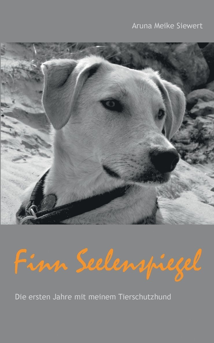 Finn Seelenspiegel 1