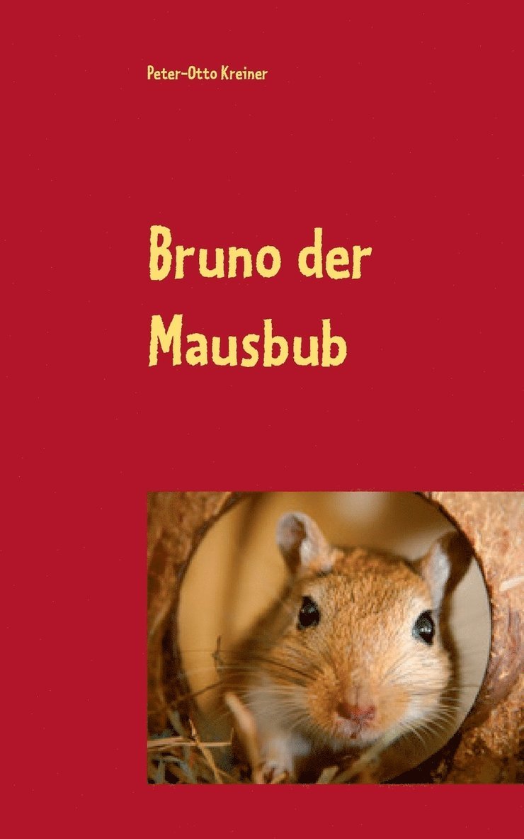 Bruno der Mausbub 1