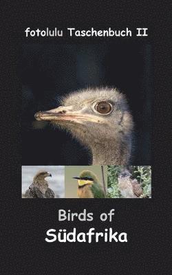 bokomslag Birds of Südafrika