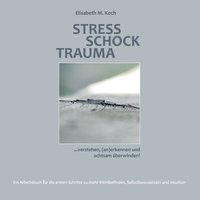 bokomslag Stress Schock Trauma ... verstehen, (an)erkennen und achtsam berwinden