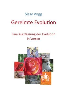 Gereimte Evolution