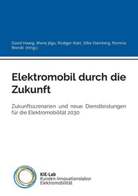 bokomslag Elektromobil durch die Zukunft