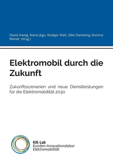David Hawig, Rüdiger Klatt, Silke Steinberg - Elektromobil durch die Zukunft, Häftad