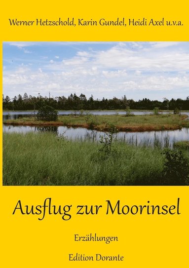 bokomslag Ausflug zur Moorinsel