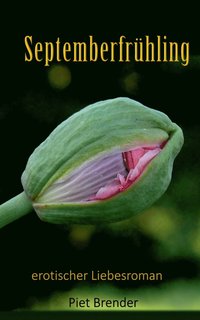 bokomslag Septemberfrühling