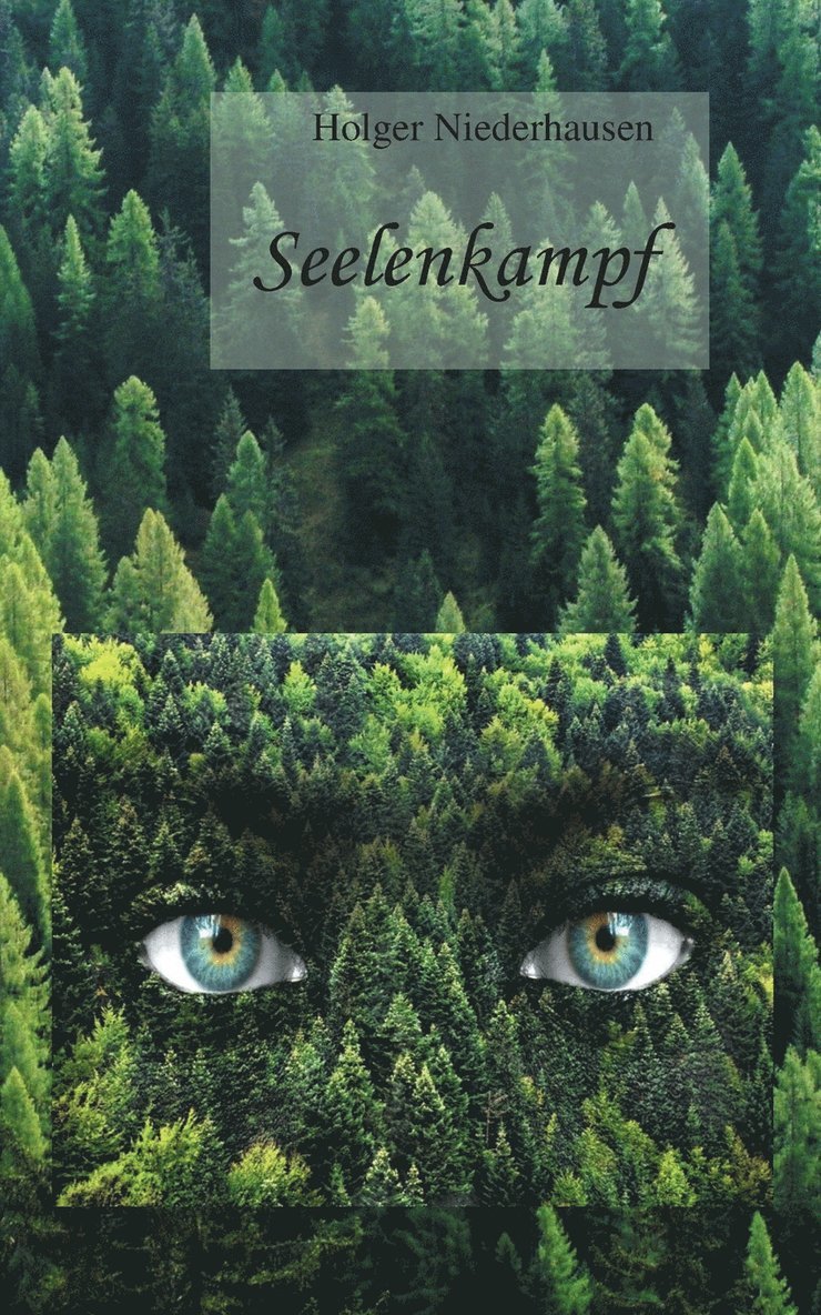 Holger Niederhausen - Seelenkampf, Häftad