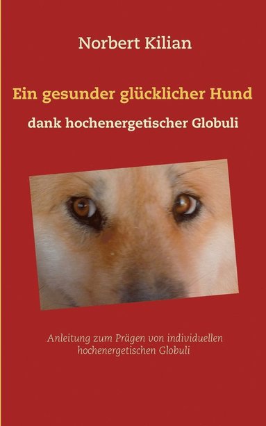 bokomslag Ein gesunder glcklicher Hund dank hochenergetischer Globuli