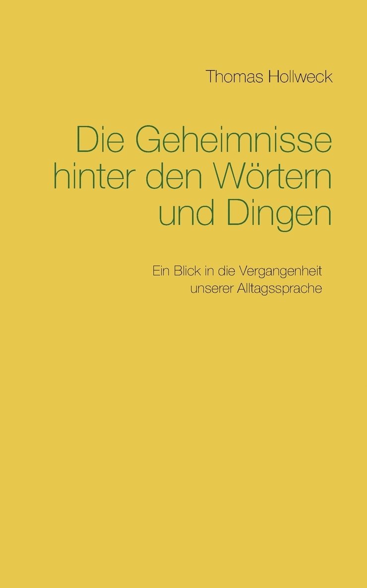 Thomas Hollweck - Geheimnisse hinter den Wörtern und Dingen, Häftad