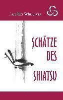 Joachim Schrievers - Schätze des Shiatsu, Inbunden