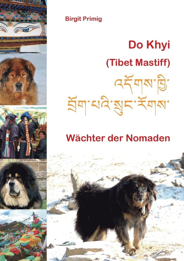 Do Khyi (Tibet Mastiff) 1