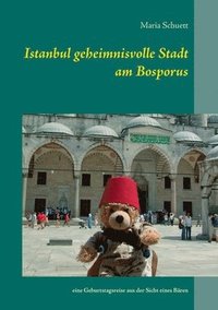 bokomslag Istanbul geheimnisvolle Stadt am Bosporus