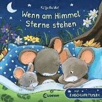bokomslag Wenn am Himmel Sterne stehen