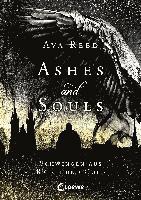 bokomslag Ashes and Souls (Band 1) - Schwingen aus Rauch und Gold