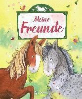 bokomslag Meine Freunde (Ponys)