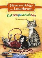 bokomslag Silbengeschichten zum Lesenlernen - Katzengeschichten