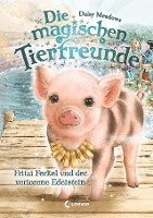 bokomslag Die magischen Tierfreunde (Band 14) - Fritzi Ferkel und der verlorene Edelstein