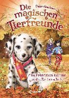 bokomslag Die magischen Tierfreunde (Band 15) - Pina Pünktchen kommt in die Zauberschule