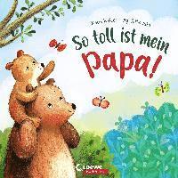 bokomslag So toll ist mein Papa!