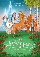 bokomslag Die Wolkenponys (Band 1) - Das Geheimnis der Edelsteine