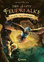 bokomslag Der letzte Feuerfalke und der Stein der Macht (Band 1)