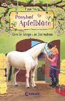 bokomslag Ponyhof Apfelblüte (Band 18) - Große Sorge um Sternchen