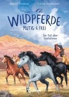 bokomslag Wildpferde - mutig und frei (Band 2) - Im Tal der Gefahren