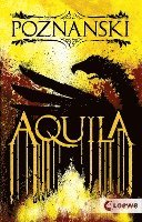 bokomslag Aquila