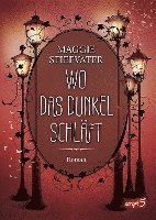 bokomslag Wo das Dunkel schläft (Band 4)