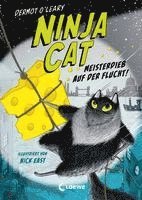 bokomslag Ninja Cat (Band 2) - Meisterdieb auf der Flucht!