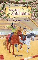 Pippa Young - Ponyhof Apfelblüte (Band 20) - Paulinas geheimer Wunsch, Inbunden